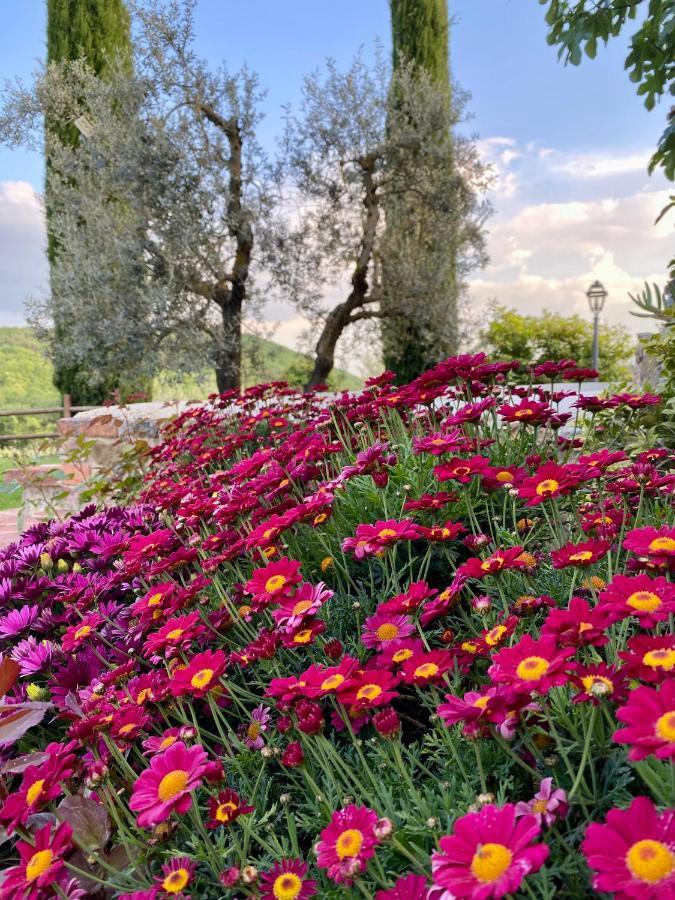 Agriturismo Belagaggio Montefollonico Exteriér fotografie