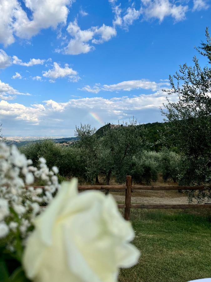 Agriturismo Belagaggio Montefollonico Exteriér fotografie